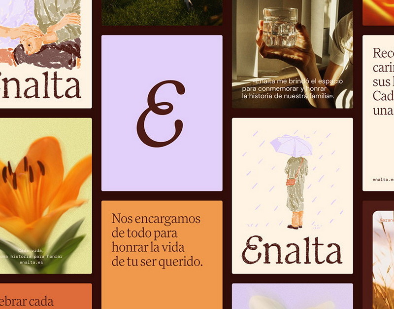 Жители китайской деревни освоили перевозку свиней дронами и остались без электричества